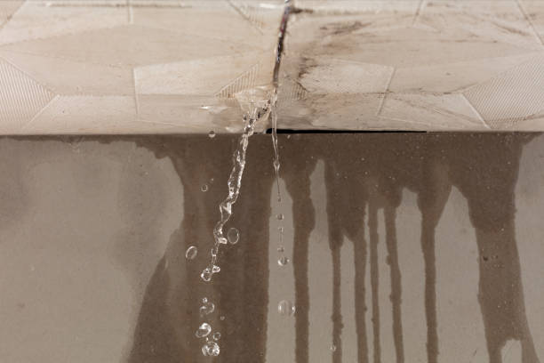 Professional Water Damage Repair technician working in Ladonia, AL